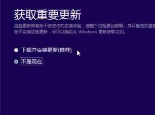 替換鏡像