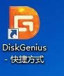 D1 DiskGeniusD