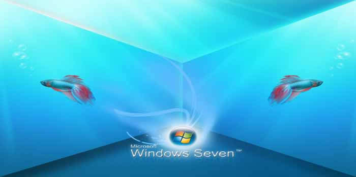win7怎文件設置最高的管理權限操作細則