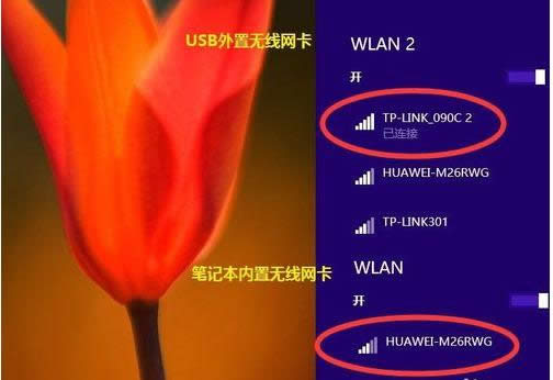 Wt