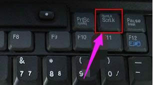 IP