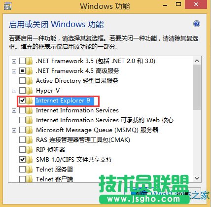 Windows8ôжdIE9g[