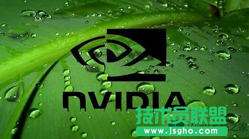 Win8.1nvidia{ôk