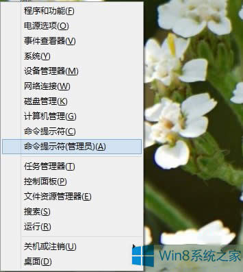 Win8.1ϵyc_ʼo]зôk