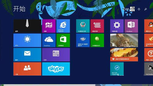 [Win8D˵ķ