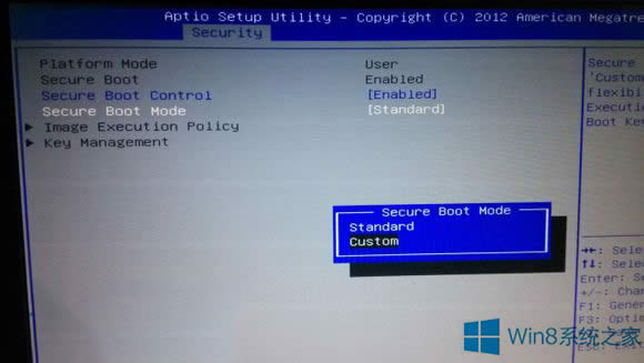 ȥWin8.1ϵysecure bootδ_ˮ