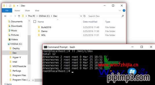 PӛWin8ϵyô_Linux Bash