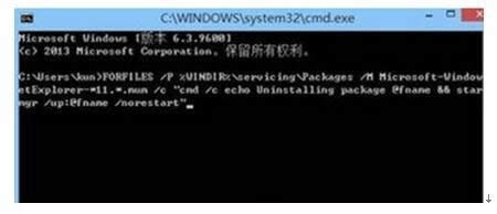 Windows8.1ϵyжdIE11g[ʧ̎