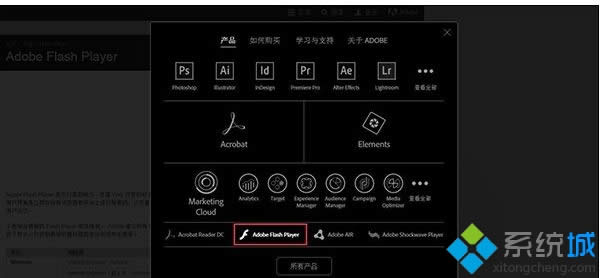 win8ϵyFshockwave flashĽQ
