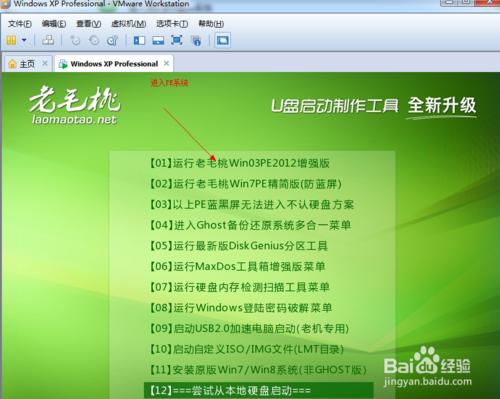 ʹUPVMware Workstation̓MCbϵy