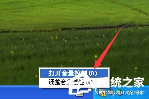 XPϵyʹC