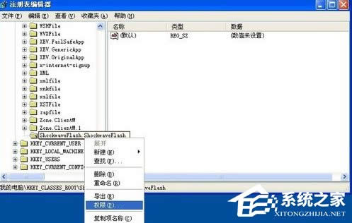 WinXPϵyFlash Playerbe`ôk