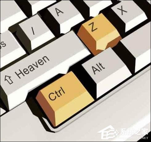 ֪XPϵyչʾ