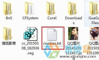 xp系統IE瀏覽器導出Cookie信息的方法！