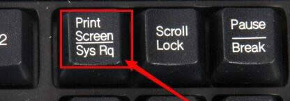 xp؈DIwinxp؈D