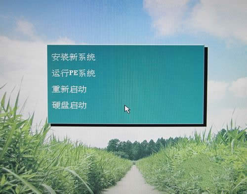 ùP