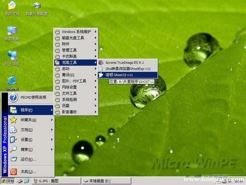 UPbϵy