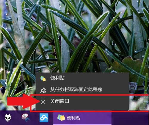 Win10㺞NNδ_ʹ÷B