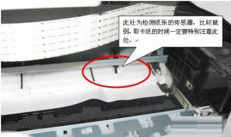 Win7ϵy鿴ļ·ĲE